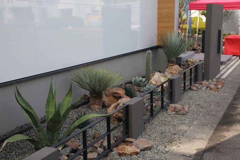 光と陰が織りなす、静寂と躍動のドライガーデン