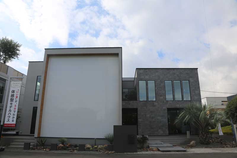 光と陰が織りなす、静寂と躍動のドライガーデン