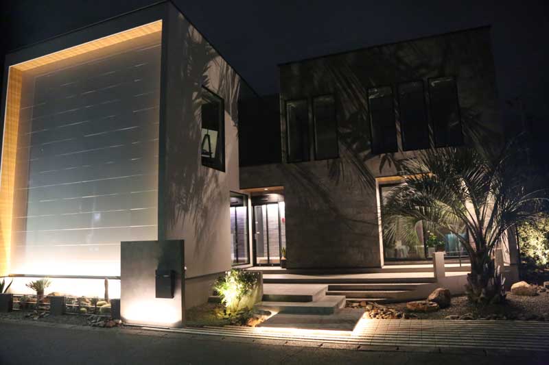 光と陰が織りなす、静寂と躍動のドライガーデン