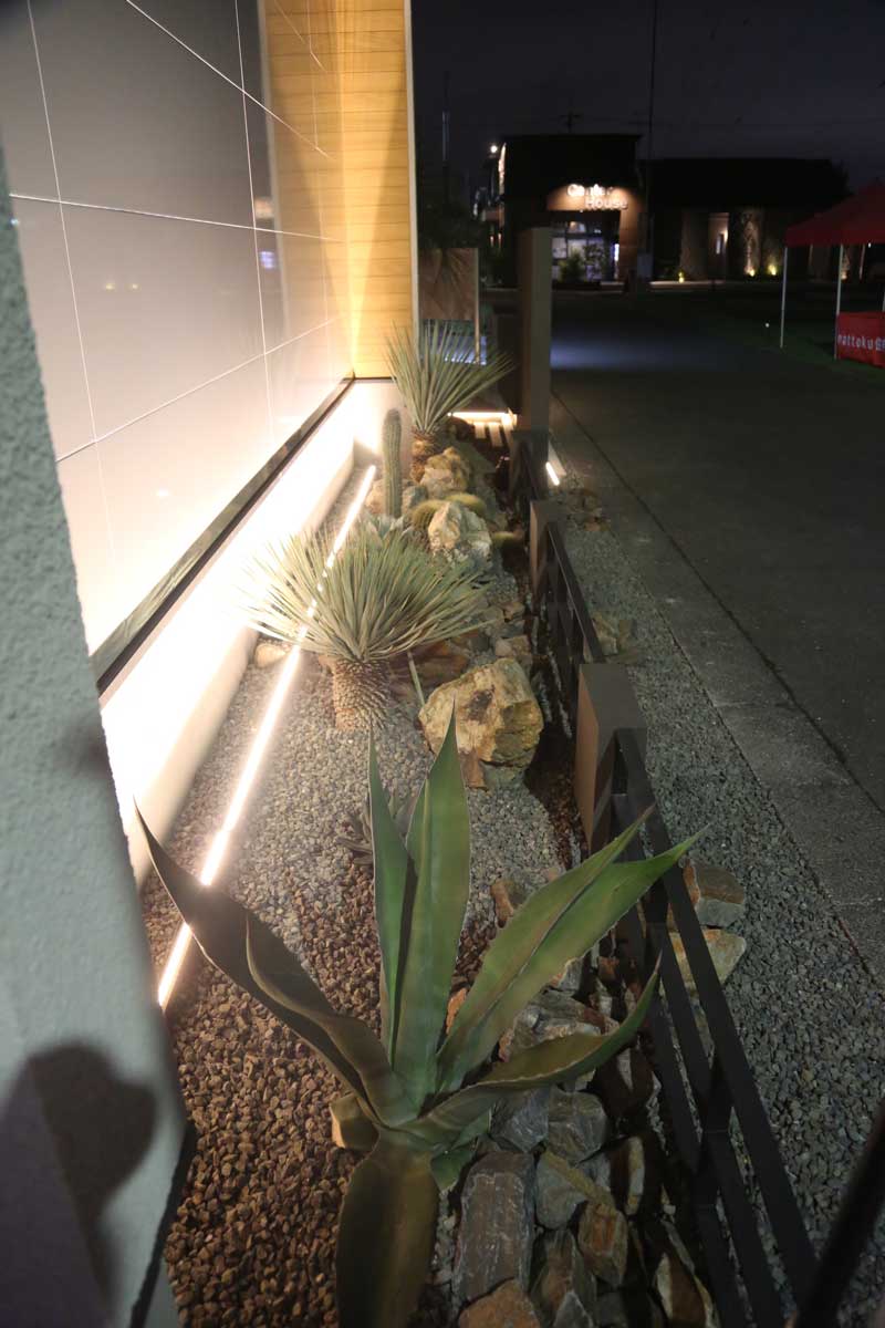 光と陰が織りなす、静寂と躍動のドライガーデン