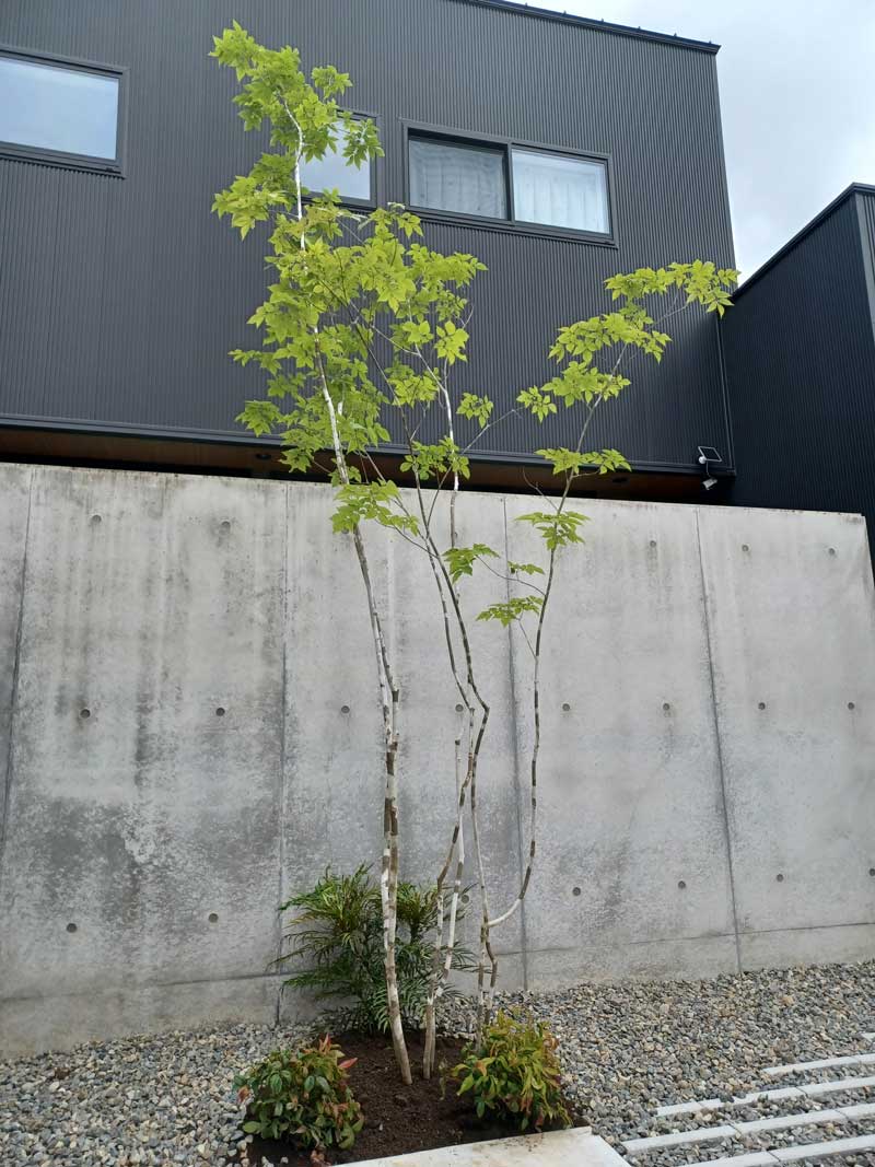 建築と調和し季節の変化を感じられる外構